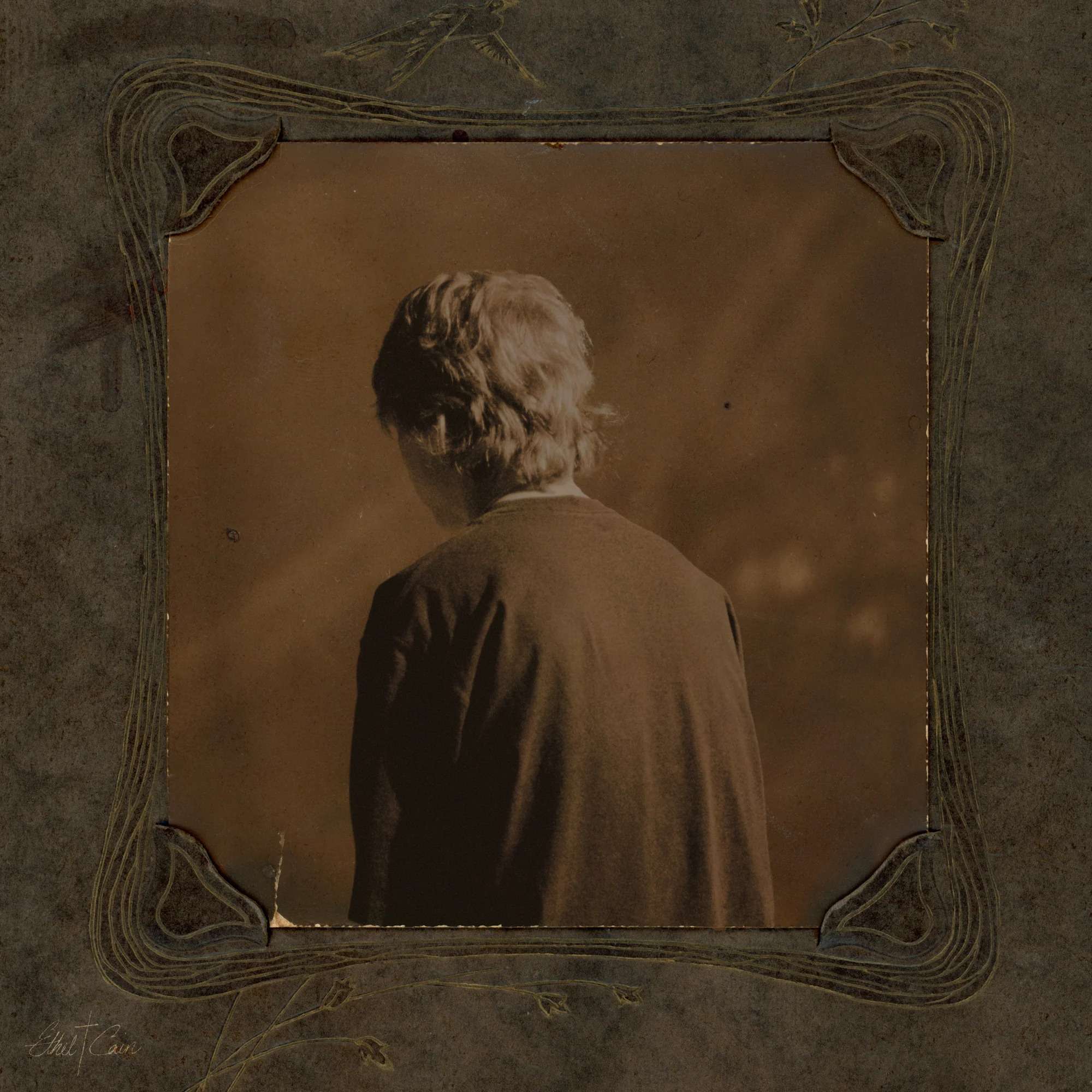 Ethel Cain - Willoughby Tucker, I'll always Love you